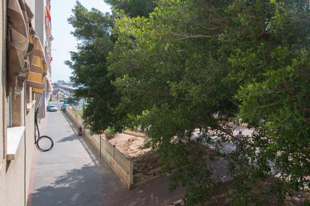 113 Beach And Trees - Alicante Holiday Torrevieja Exterior foto