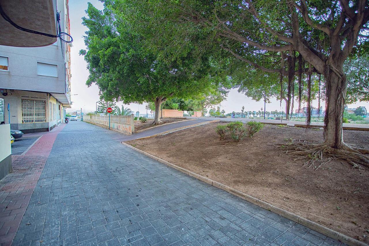 113 Beach And Trees - Alicante Holiday Torrevieja Exterior foto